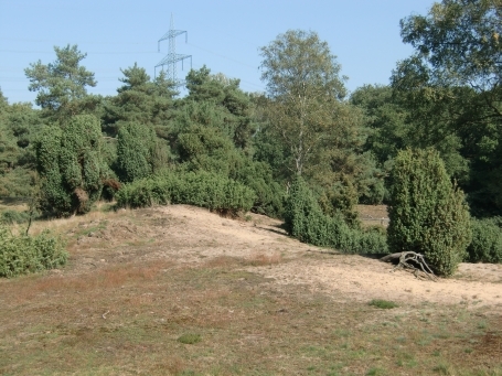 Schermbeck : Impressionen aus dem Naturschutzgebiet Loosenberge